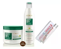 Kit Day By Day Óleo De Abacate 500ml Nutra Hair + Brinde