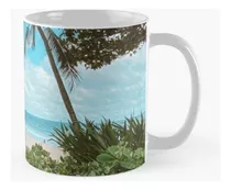 Taza Palm Tree Paradise + Hermosas Vacaciones En La Playa Ca