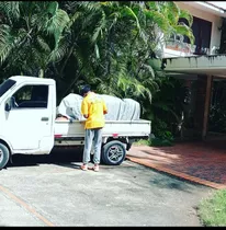 Acarreo Transporte Mudanzas Santo Domingo 