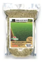 Semilla De Pasto Ingles Ryegrass 1kg Envio Gratis