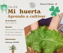 Taller Mi Huerta. Aprendo A Cultivar En Pequeños Espacios