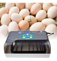 Incubadora De 12 Huevos Full Automatica, Gallina Codorniz