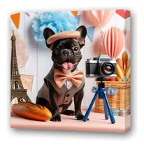 Cuadro 45x45cm Bulldog Frances Fotografo Photo Camara