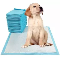 Tapete Entrenador Baño Mascotas Perros Toallas Absorbente