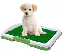 Baño Sanitario Para Perro Y Gatos Bandeja Mascota - Otec