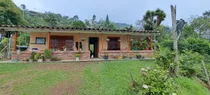 Vendo Casa Finca Vía A Fredonia  Cuenta Con Marraneras