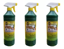 Insecticida Para Suculentas H24 Pulgon Y Cochinilla 3 Piezas