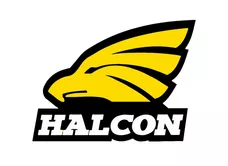 Halcon