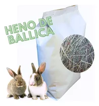 Heno De Ballica Para Conejos, Cuy Bolsa 600 Grs