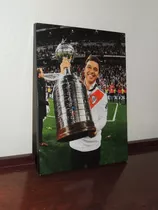 Cuadro River Plate Libertadores 2018 Napoleón Gallardo 15x20