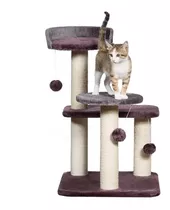  Gimnasios Rascador Para Gatos