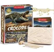 Kit De Escavação De Fósseis De Dinossauros, Desenterra Fósse