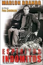 Dvd Filme - Espíritos Indômitos / Dvd300