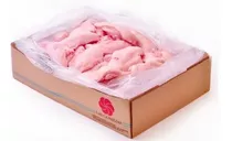 Supremas De Pollo Congeladas  Las Camelias  / Cajax15kg