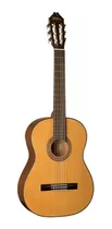 Guitarra Acustica Washburn C40 Garantia  / Abregoaudio