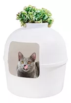 Arenero Iglu O Casa Para Gatos 