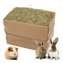 Heno De Alfalfa Caja 8 Kg Para Conejos, Cuyes, Chinchillas