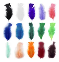 Pluma Gallo Chica X50 Pcs Atrapasueño Souvenir X10 Paquetes