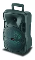 Parlante Portatil Bluetooth 30w Karaoke Mic Usb 590 Impacto Color Negro