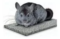 Piedra Para Refrescar Chinchillas Rym