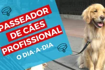 Passeador De Cães