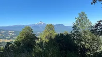 Pucon- Parcelacon Bosque Nativo Y Vista A Volcan