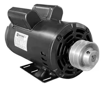 Motor Para Ordenhadeira 2cv Monofásico Baixa Rotação 110/220