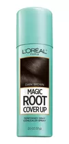 Spray Loreal Retoque Cubre Canas Temporal Lavable