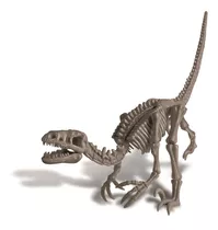  Escavação Velociraptor - Brinquedo Educativo - 4m