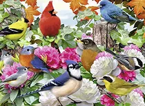 Quebra-cabeça Ravensburger Garden Birds De 500 Peças