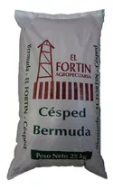 Semillas Cesped Bermuda Grass 2 Kg (cynodon Dactylon)