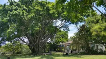 Te Vendo Hermosa Finca En Palenque.