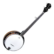 Banjo Americano 5 Cordas Strinberg Wb50 Mahogany Pele Remo