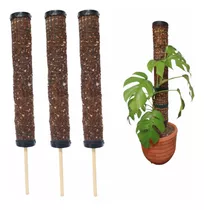 Bastones Musgo De Coco Para Plantas