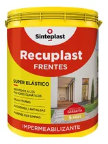 Tineta Membrana Liquida Pintura Fachada Frentes Impermeable 