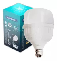 Lâmpada Led 30w Bulbo E27 6500k Luz Branco-frio 110v/220 110v/220v