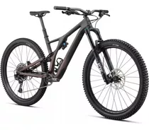 2020 Stumpjumper Evo Comp Carbon 29