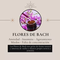 Consulta De Flores De Bach