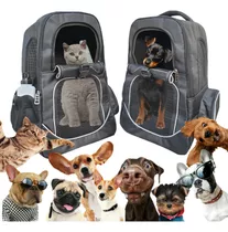 Bolso Morral Transportador Mascotas 