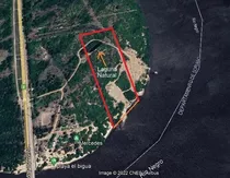 Alquiler Chacra Sobre Rio Negro Con Laguna Privada Ideal Camping, Nautica O Arenera