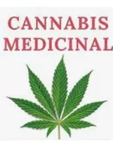 Curso Sobre Cannabis Medicinal ( Usos Y Aplicaciones)