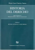 Historia Del Derecho Vol.1 Alvaro Garcé García Y Santos 
