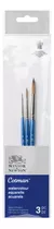 Set 3 Pinceles Cotman Winsor & Newton Mango Corto V2