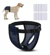 Calzones Para Celo Sanitarios Perritas Transpirables S - Xl