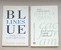 Blue Lines / Cactus Con Flores Amarillas - Juan Garcia Gayo