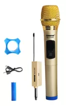 Microfono Profesional Inalambricos Karaoke Camara Dslr Xlr 