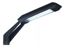 Farola Led Moderna Alumbrado Publico Fw 4600/1 Sin Columna