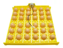 Bandeja Automática De 36 Huevos Pato Gallina Codorniz Aves 