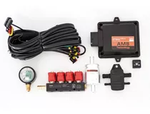 Kit Electronico 5ta Generacion Gnc Ecu+rampa+manometro+filtr