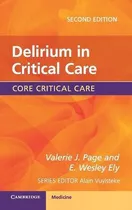 Libro Delirium In Critical Care - Valerie J. Page